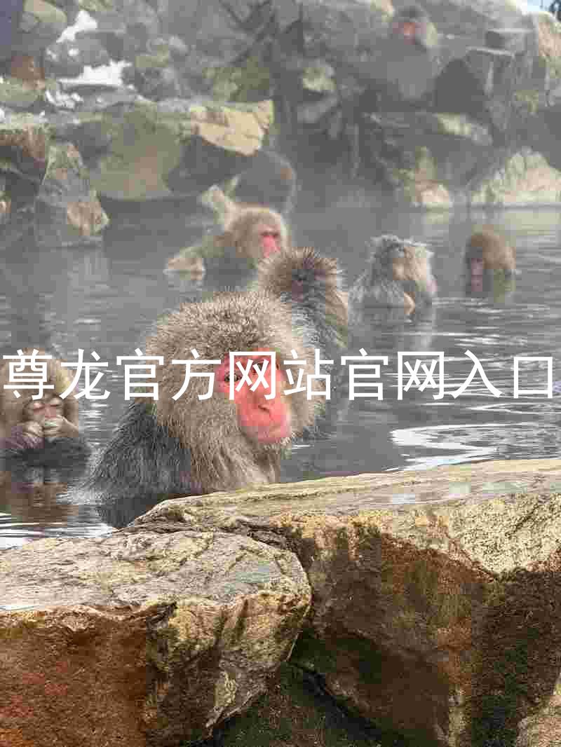 尊龙官方网站官网入口