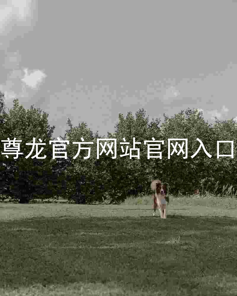 尊龙官方网站官网入口