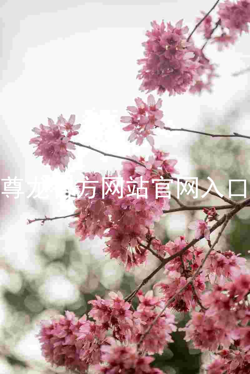 尊龙官方网站官网入口