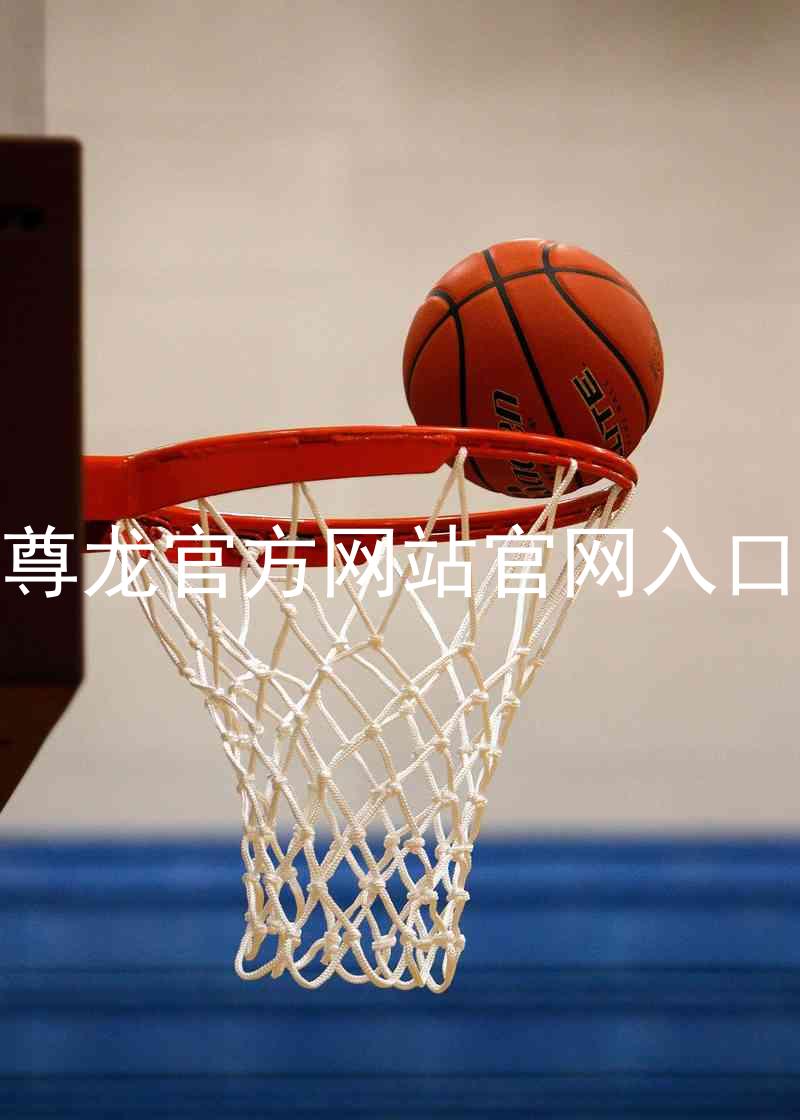 尊龙官方网站官网入口